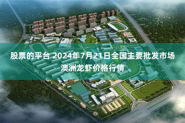 股票的平台 2024年7月21日全国主要批发市场澳洲龙虾价格行情