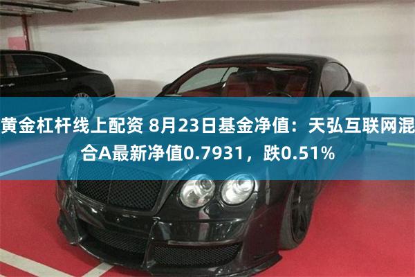 黄金杠杆线上配资 8月23日基金净值：天弘互联网混合A最新净值0.7931，跌0.51%