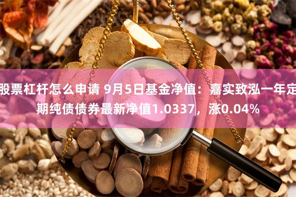 股票杠杆怎么申请 9月5日基金净值：嘉实致泓一年定期纯债债券最新净值1.0337，涨0.04%