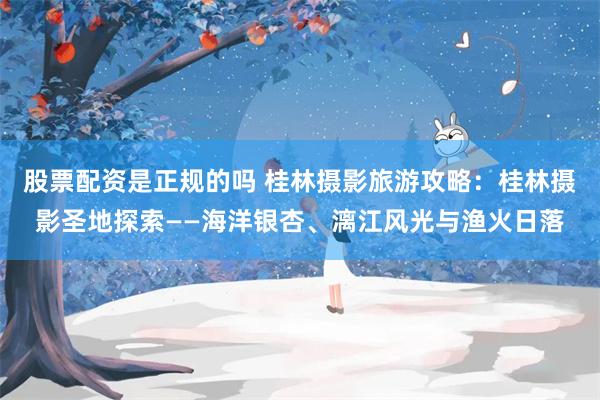 股票配资是正规的吗 桂林摄影旅游攻略：桂林摄影圣地探索——海洋银杏、漓江风光与渔火日落