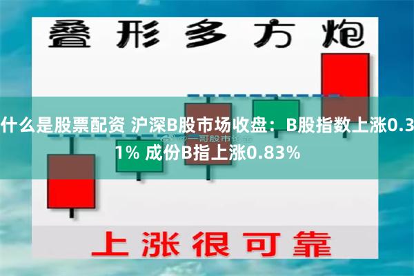 什么是股票配资 沪深B股市场收盘：B股指数上涨0.31% 成份B指上涨0.83%