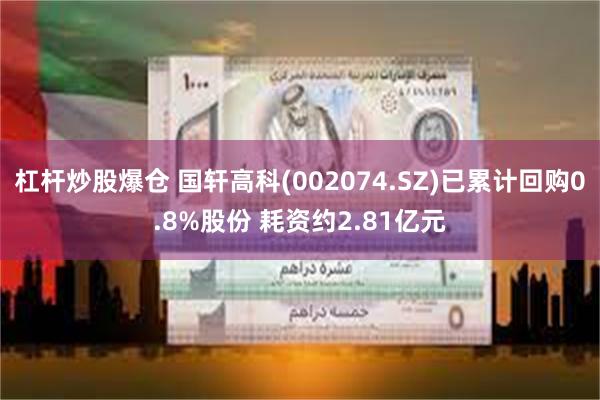 杠杆炒股爆仓 国轩高科(002074.SZ)已累计回购0.8%股份 耗资约2.81亿元