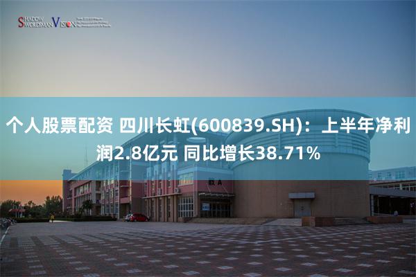 个人股票配资 四川长虹(600839.SH)：上半年净利润2.8亿元 同比增长38.71%