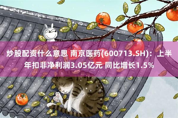 炒股配资什么意思 南京医药(600713.SH)：上半年扣非净利润3.05亿元 同比增长1.5%