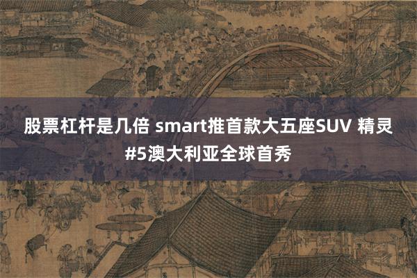 股票杠杆是几倍 smart推首款大五座SUV 精灵#5澳大利亚全球首秀