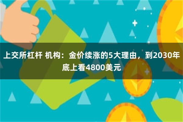 上交所杠杆 机构：金价续涨的5大理由，到2030年底上看4800美元