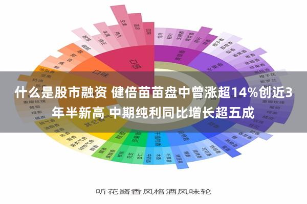 什么是股市融资 健倍苗苗盘中曾涨超14%创近3年半新高 中期纯利同比增长超五成