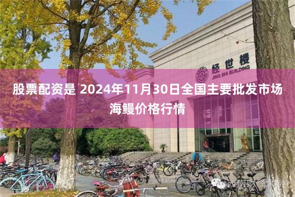 股票配资是 2024年11月30日全国主要批发市场海鳗价格行情