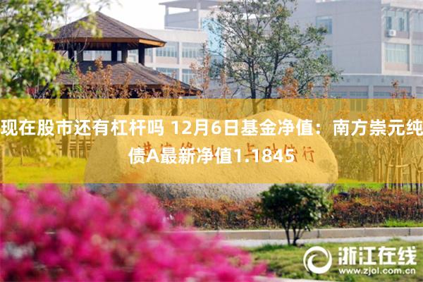 现在股市还有杠杆吗 12月6日基金净值：南方崇元纯债A最新净值1.1845