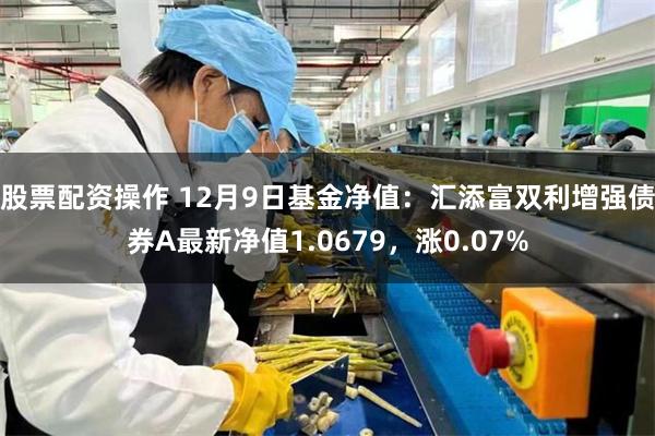 股票配资操作 12月9日基金净值：汇添富双利增强债券A最新净值1.0679，涨0.07%