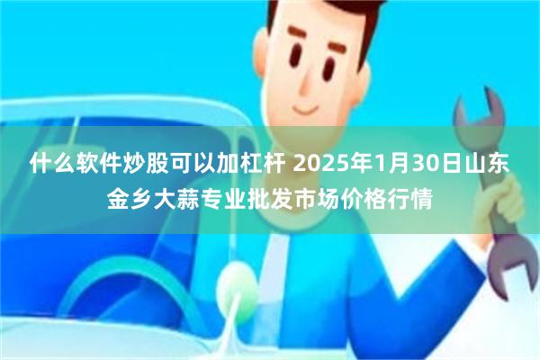 什么软件炒股可以加杠杆 2025年1月30日山东金乡大蒜专业批发市场价格行情