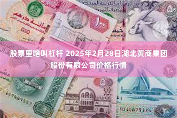 股票里啥叫杠杆 2025年2月28日湖北黄商集团股份有限公司价格行情