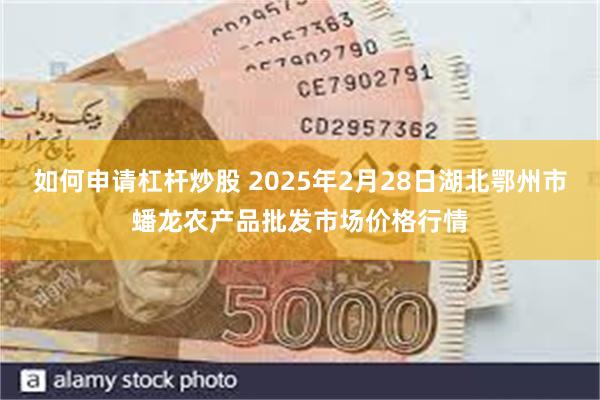 如何申请杠杆炒股 2025年2月28日湖北鄂州市蟠龙农产品批发市场价格行情