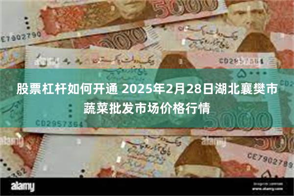 股票杠杆如何开通 2025年2月28日湖北襄樊市蔬菜批发市场价格行情